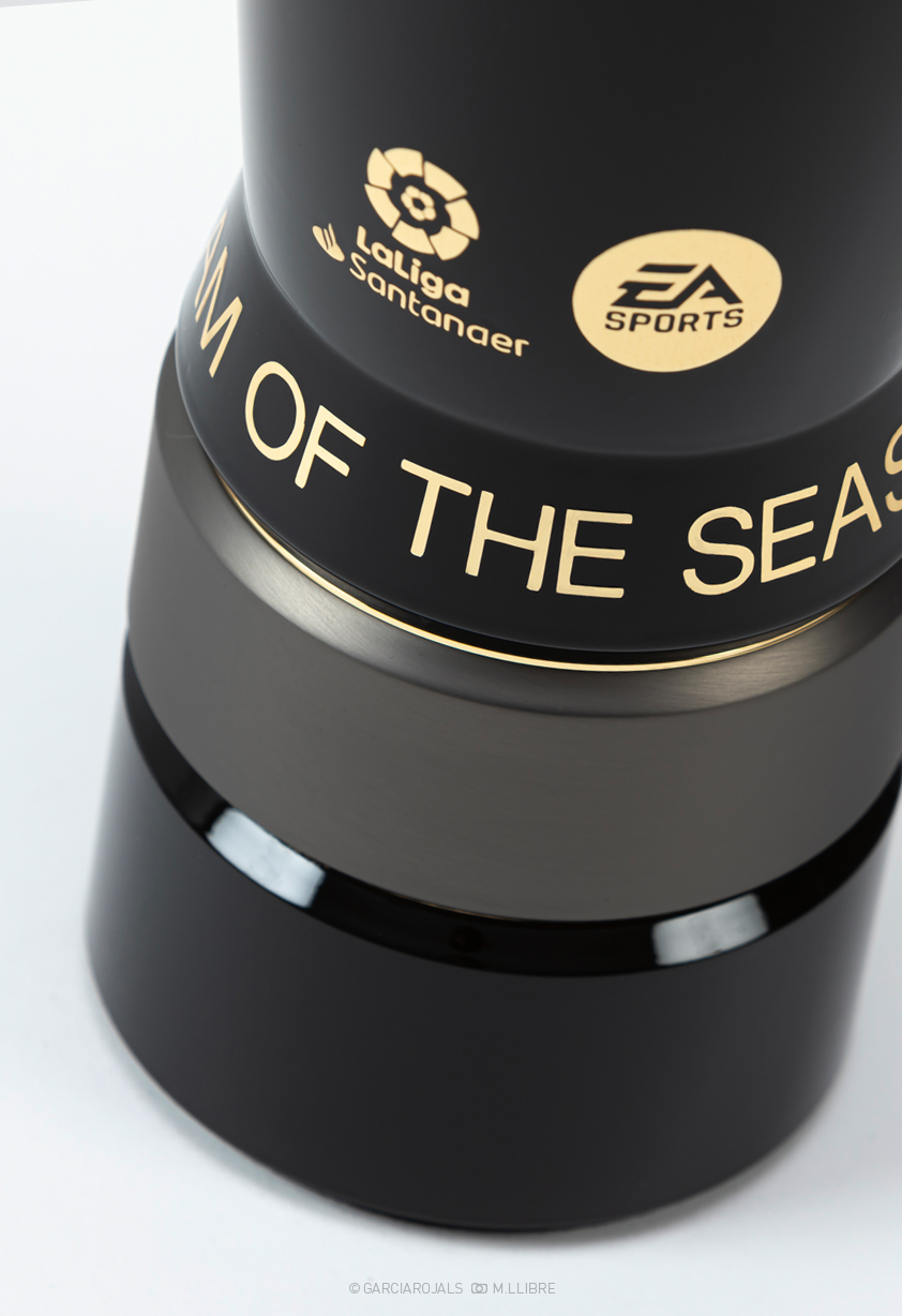 TEAM OF THE SEASON Trophy